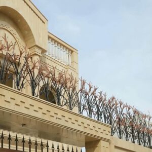 حفاظ شاخ گوزنی در زاهدان