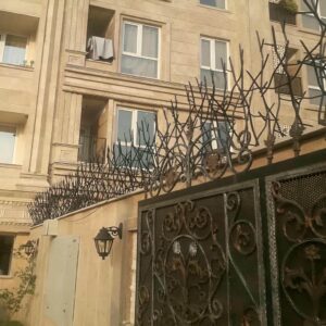 حفاظ شاخ گوزنی در اندیشه