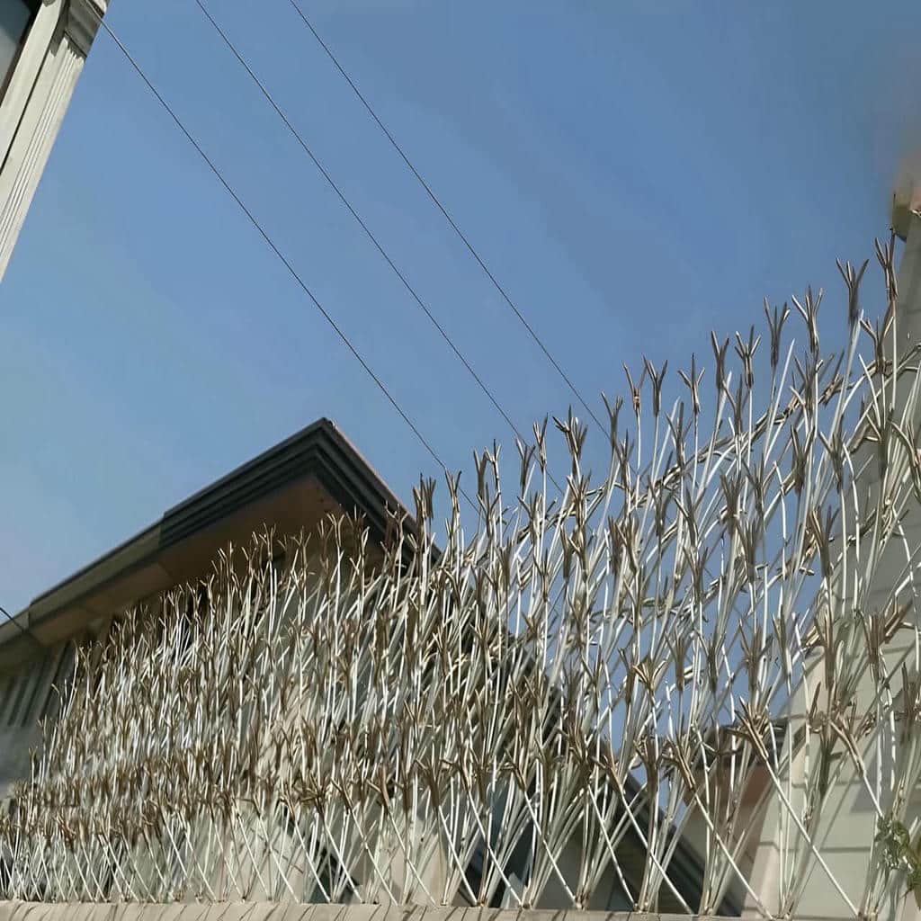 قیمت حفاظ شاخ گوزنی تراکم استاندارد در قائمشهر