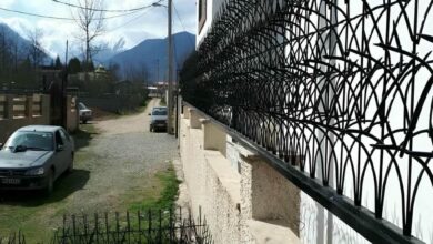 حفاظ شاخ گوزنی در بندر دیلم