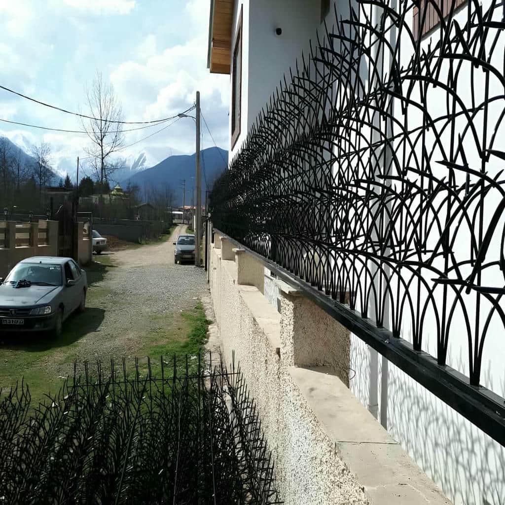 حفاظ شاخ گوزنی در بندر دیلم