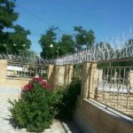 حفاظ شاخ گوزنی در استان گیلان