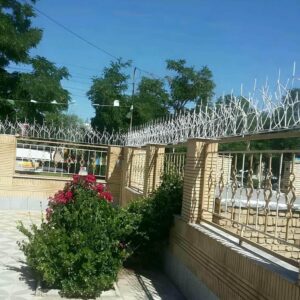 حفاظ شاخ گوزنی در استان گیلان