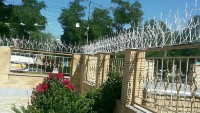 حفاظ شاخ گوزنی در استان گیلان
