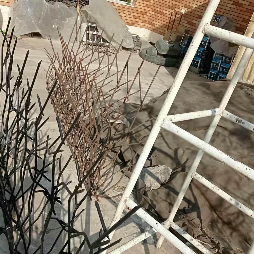 خرید حفاظ شاخ گوزنی شاخه متراکم در مریوان