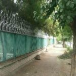 حفاظ شاخ گوزنی در سیرجان