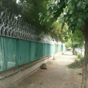 حفاظ شاخ گوزنی در سیرجان