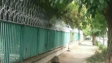 حفاظ شاخ گوزنی در سیرجان