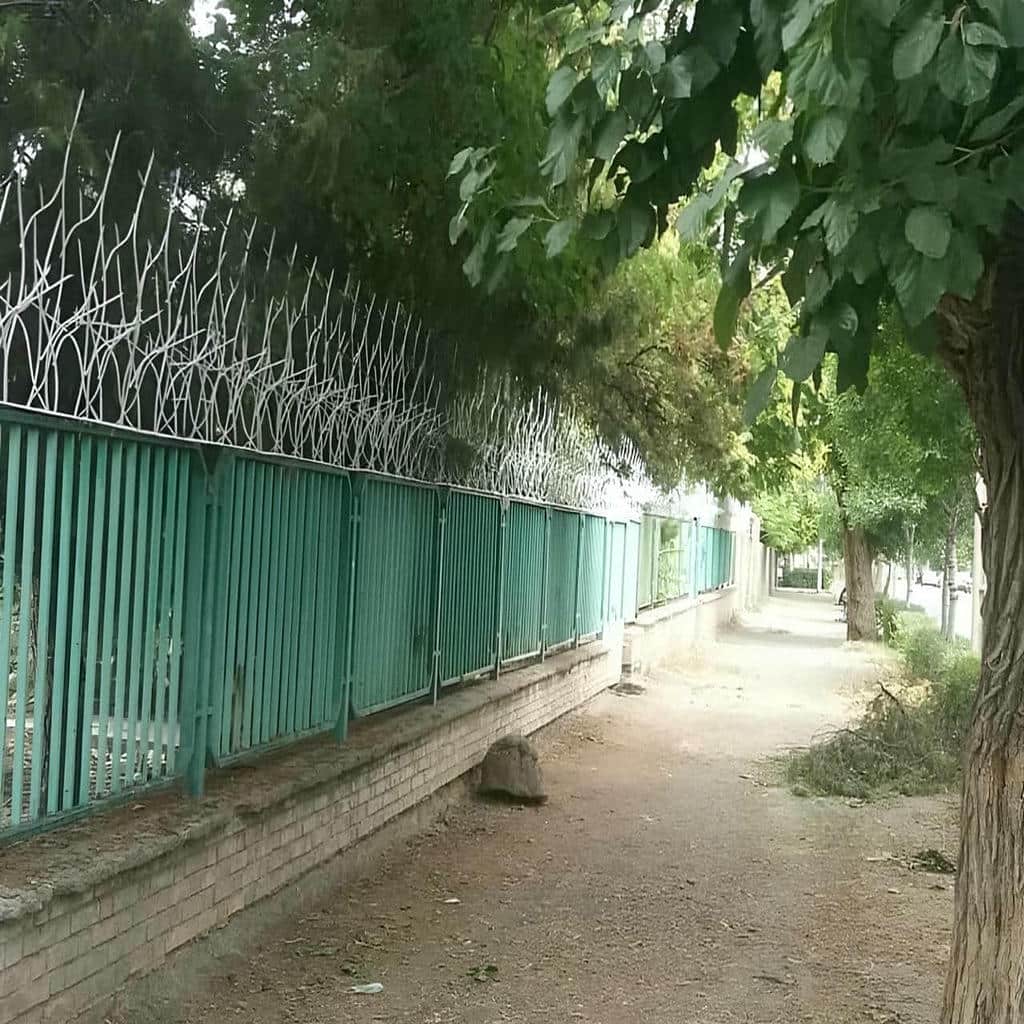 حفاظ شاخ گوزنی در سیرجان