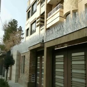 حفاظ شاخ گوزنی در نسیم شهر