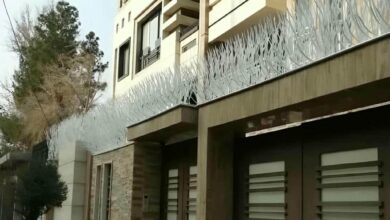 حفاظ شاخ گوزنی در نسیم شهر
