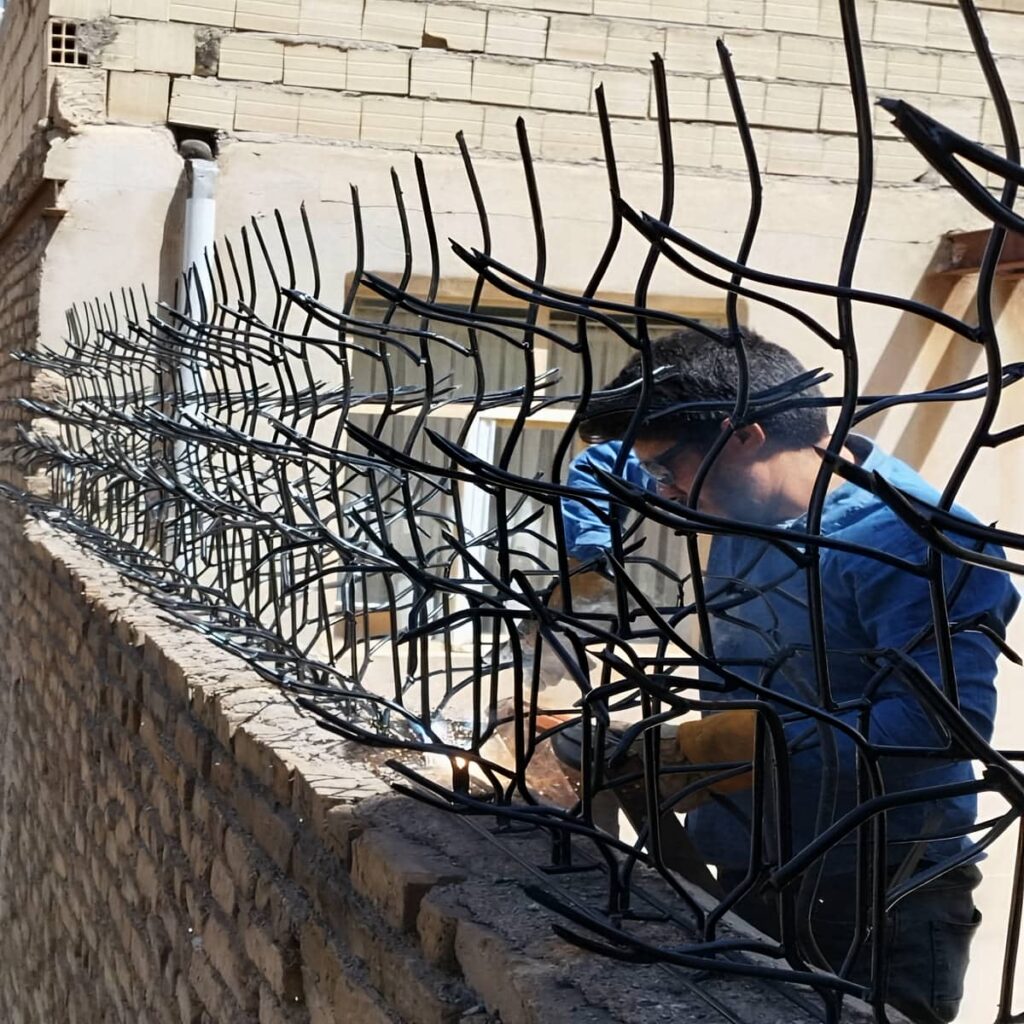 حفاظ شاخ گوزنی در بیرجند