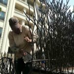 حفاظ شاخ گوزنی در سنندج