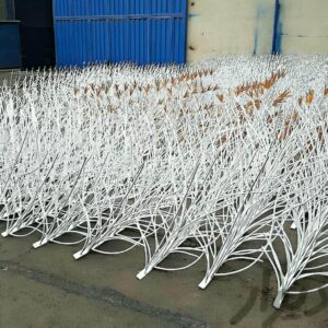 حفاظ شاخ گوزنی در بومهن