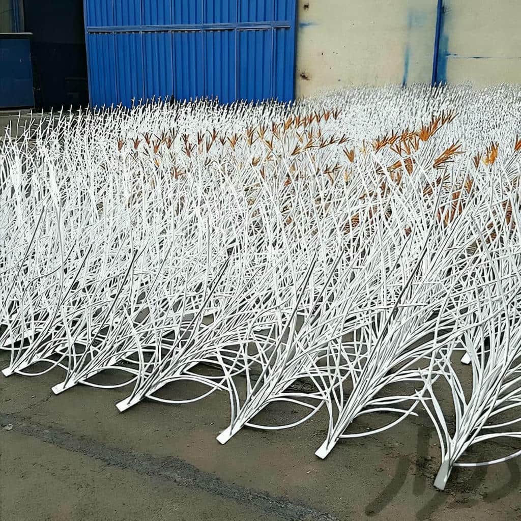 حفاظ شاخ گوزنی در بومهن
