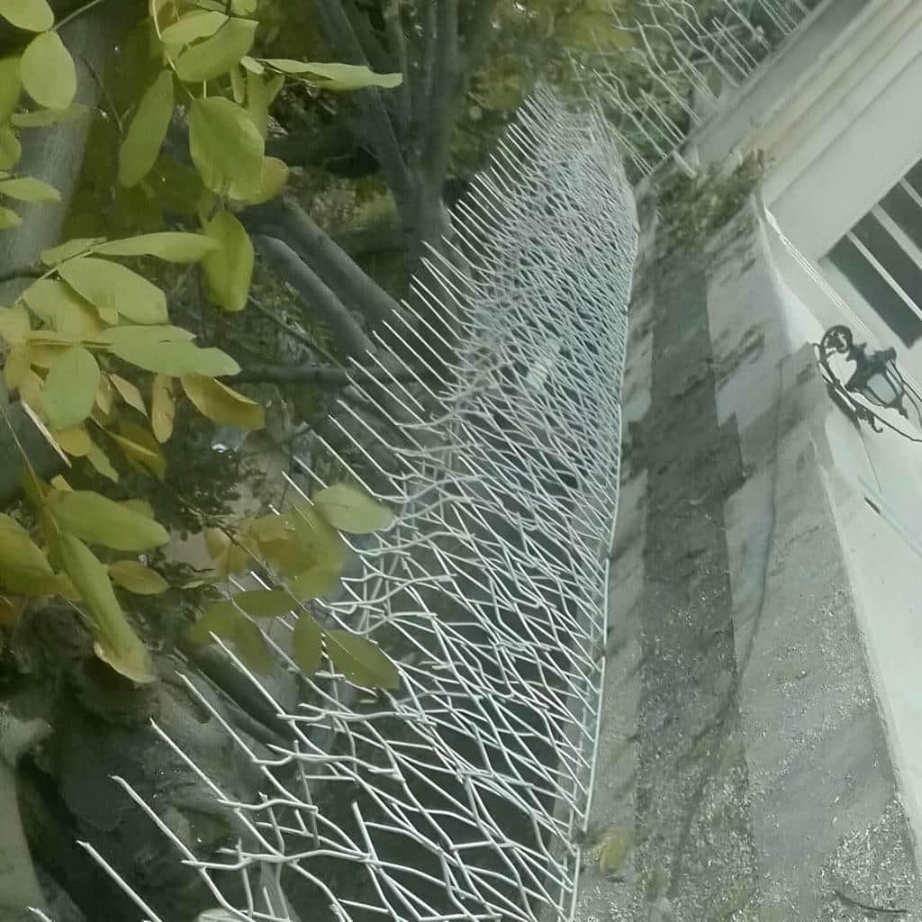 نصب حفاظ شاخ گوزنی ضدزنگ در فیروزکوه