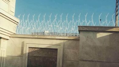 حفاظ شاخ گوزنی در کرمانشاه