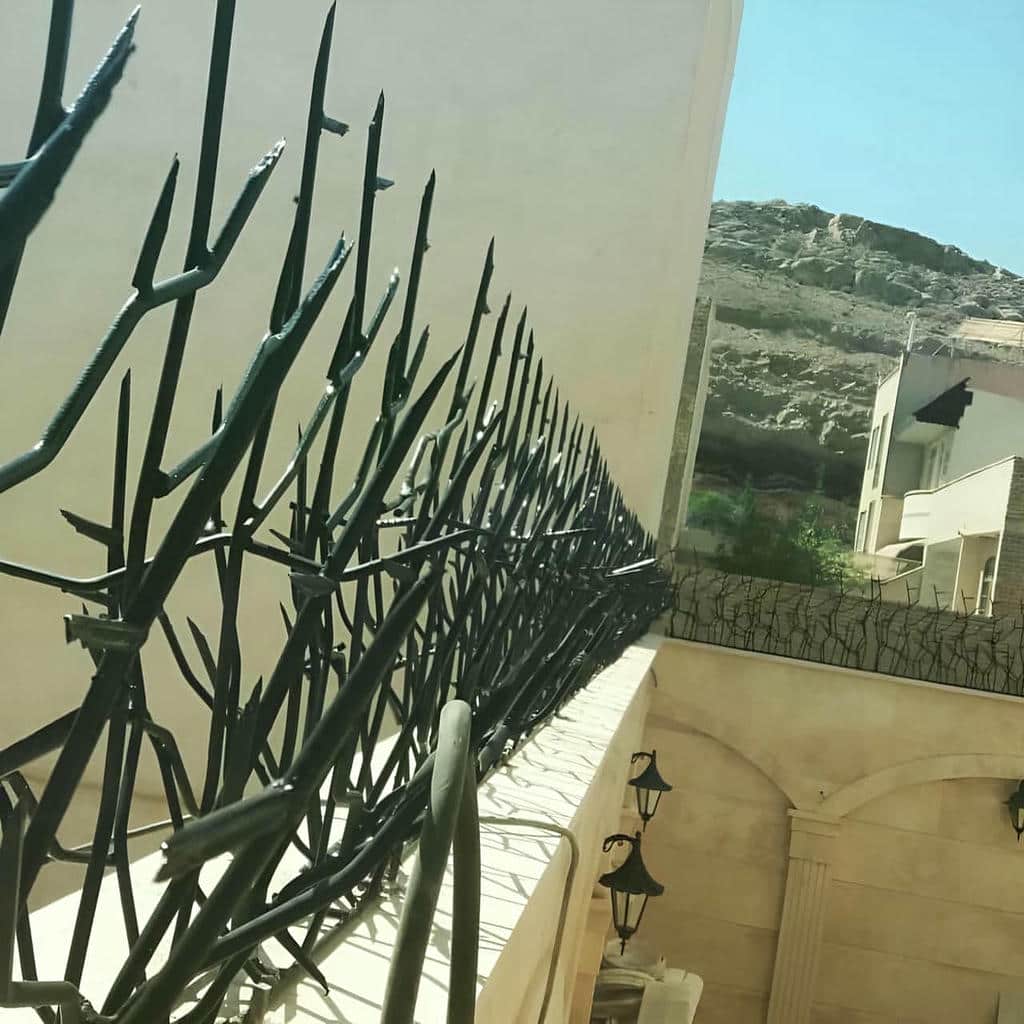 خرید حفاظ شاخ گوزنی مدل کلاسیک در لواسان