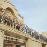 حفاظ شاخ گوزنی در بندرعباس