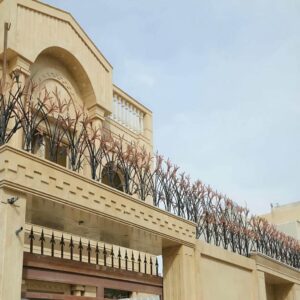 حفاظ شاخ گوزنی در بندرعباس