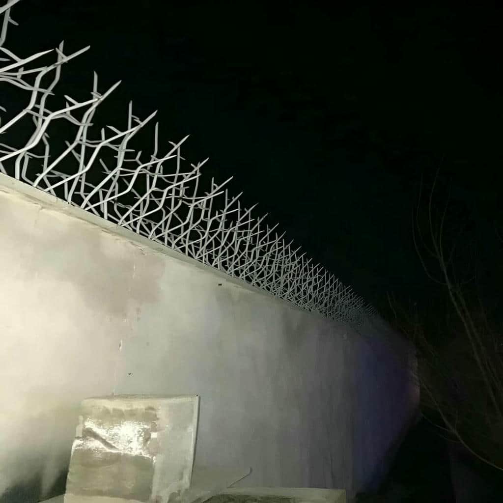 قیمت حفاظ شاخ گوزنی نوک برنده در استان گیلان