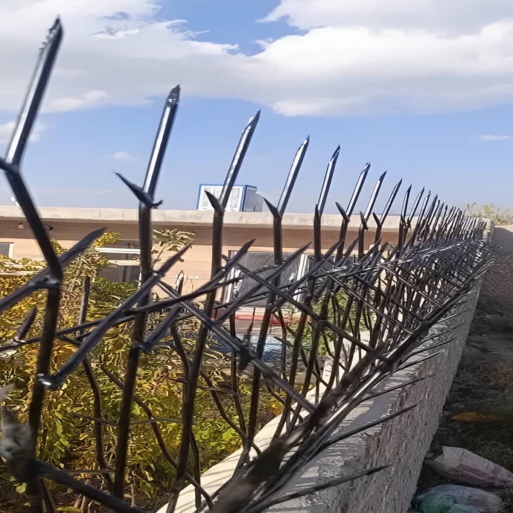 قیمت حفاظ شاخ گوزنی تراکم استاندارد در گرگان