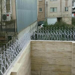 حفاظ شاخ گوزنی در قشم