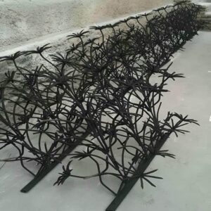 حفاظ شاخ گوزنی در اصفهان