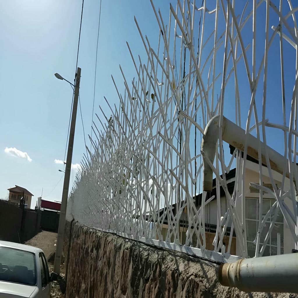 خرید حفاظ شاخ گوزنی شاخه متراکم در سنندج