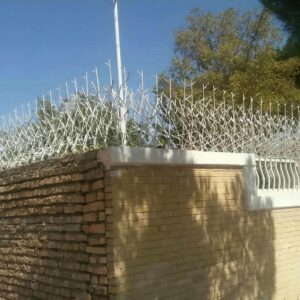 حفاظ شاخ گوزنی در محمودآباد