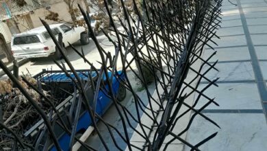 حفاظ شاخ گوزنی در کرج