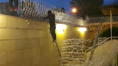 حفاظ شاخ گوزنی در بندر چابهار