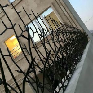 حفاظ شاخ گوزنی در لواسان