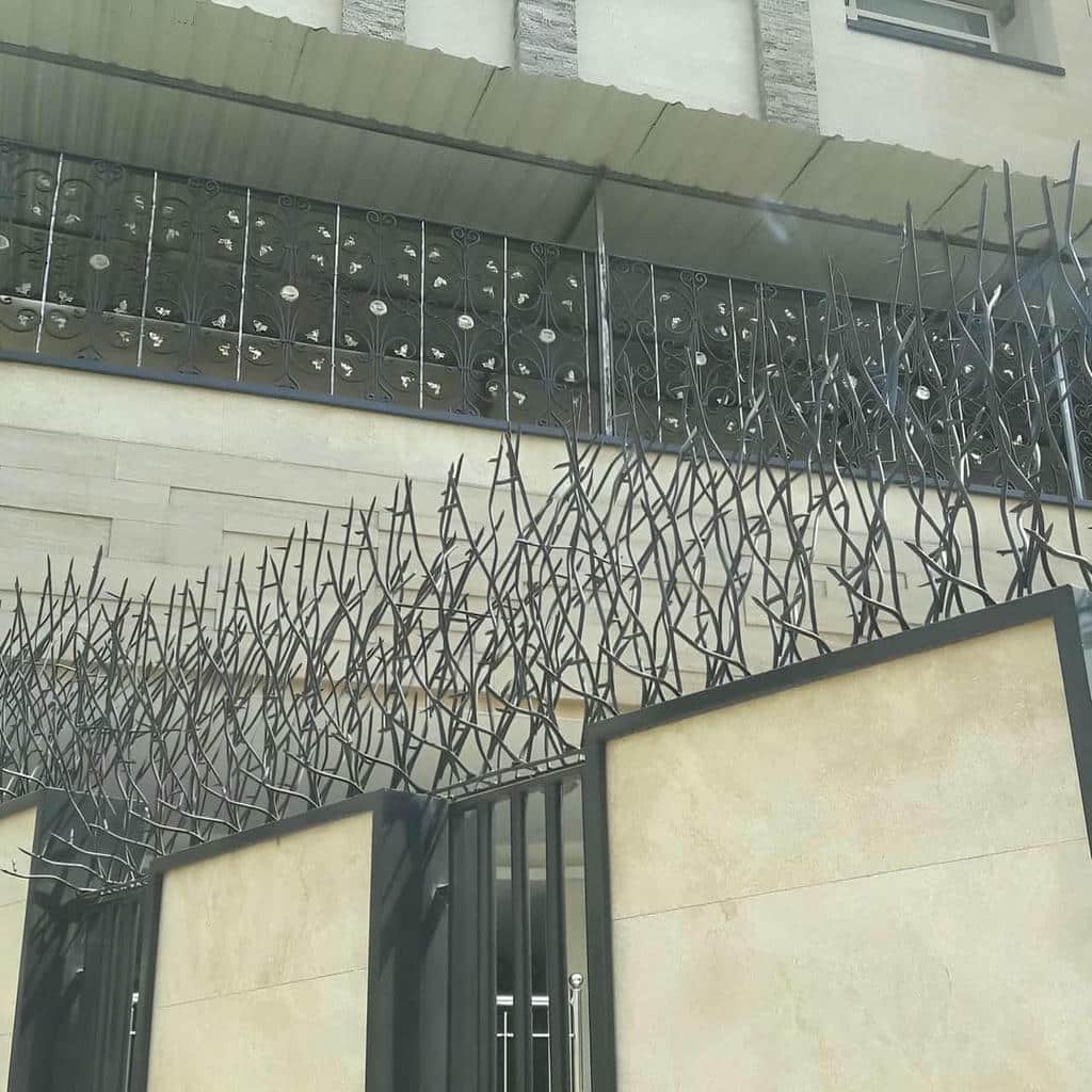 نصب حفاظ شاخ گوزنی تراکم کنترل شده در بندر دیلم