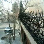 حفاظ شاخ گوزنی در پردیس