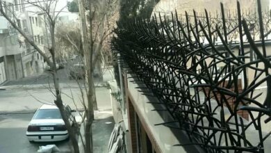 حفاظ شاخ گوزنی در پردیس