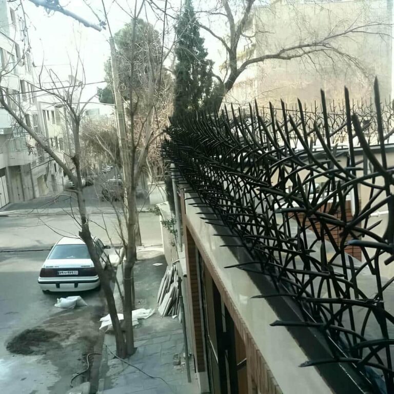 حفاظ شاخ گوزنی در پردیس