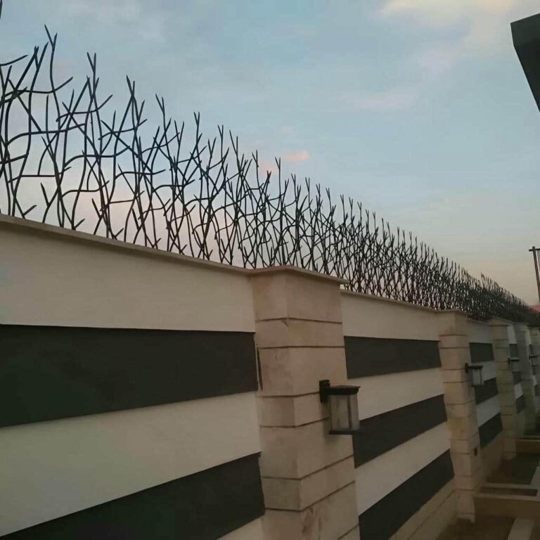 حفاظ شاخ گوزنی در ساوه