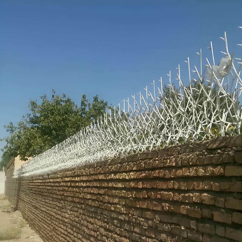 قیمت حفاظ شاخ گوزنی نوک برنده در استان مازندران