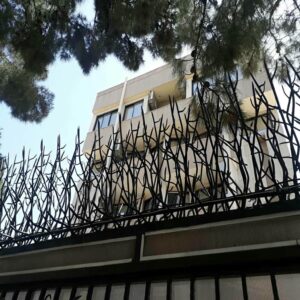 حفاظ شاخ گوزنی در ساری