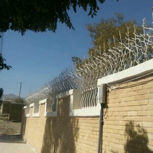 حفاظ شاخ گوزنی در دماوند