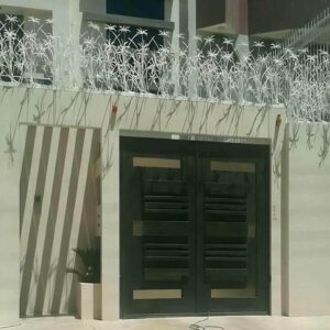 حفاظ شاخ گوزنی در یاسوج