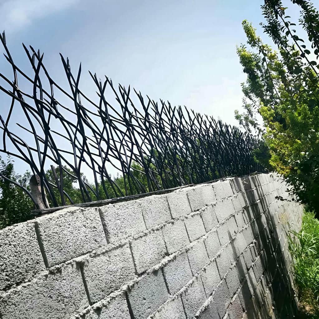 قیمت حفاظ شاخ گوزنی تراکم بالا در بندر چابهار