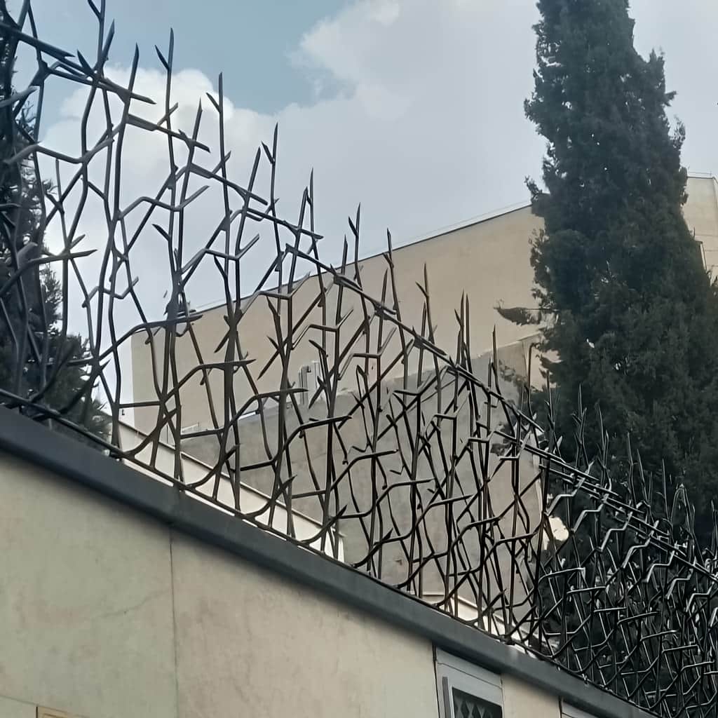 حفاظ شاخ گوزنی با نصب اصولی روی تاج دیوار