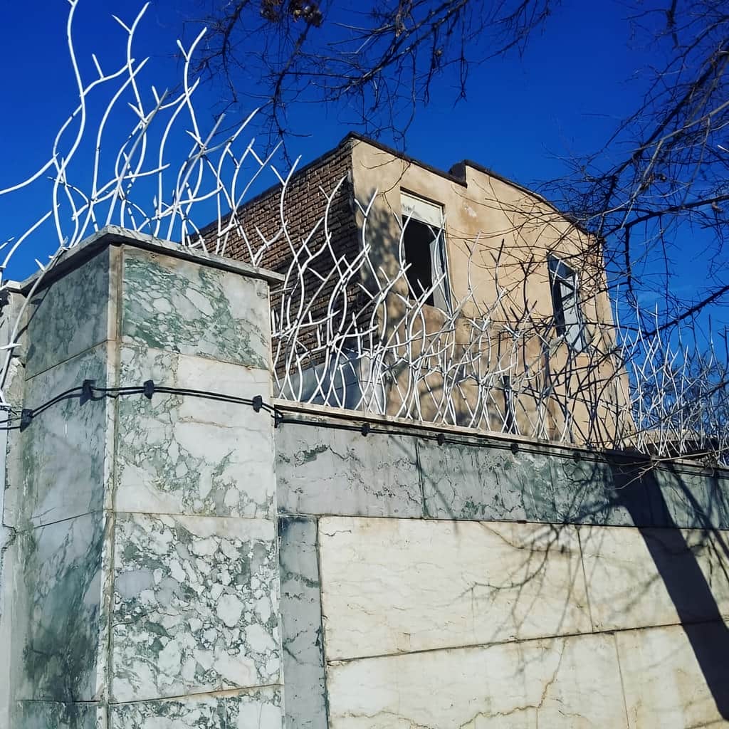 حفاظ شاخ گوزنی خاردار با رنگ مقاوم