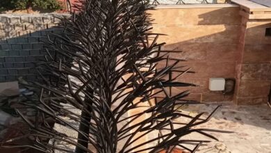 حفاظ شاخ گوزنی خاردار مقاوم برای کنترل ورود غیرمجاز