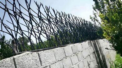 حفاظ شاخ گوزنی با ساختار تیز و فشرده مهم ترین مزایای حفاظ شاخ گوزنی برای ساختمان ویلا و باغ
