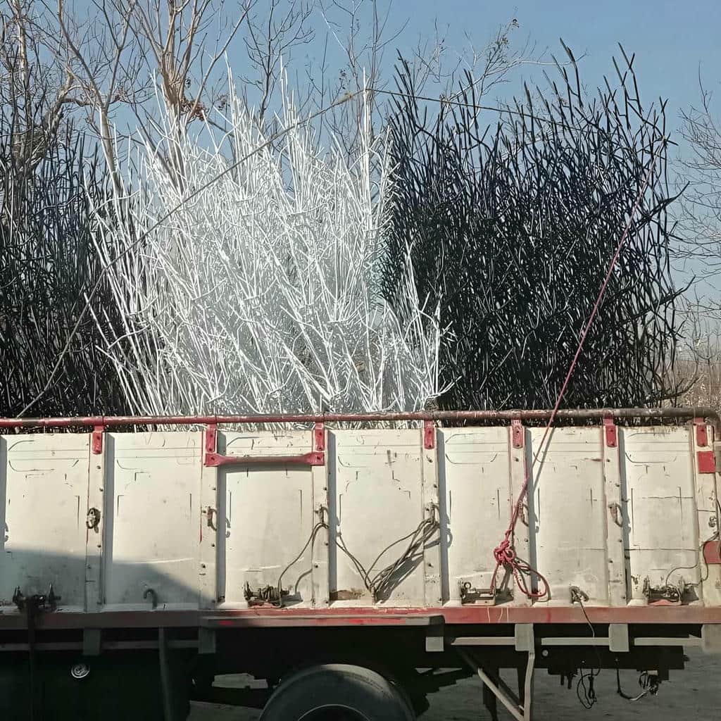 خرید حفاظ شاخ گوزنی دیوار باغ ویلا