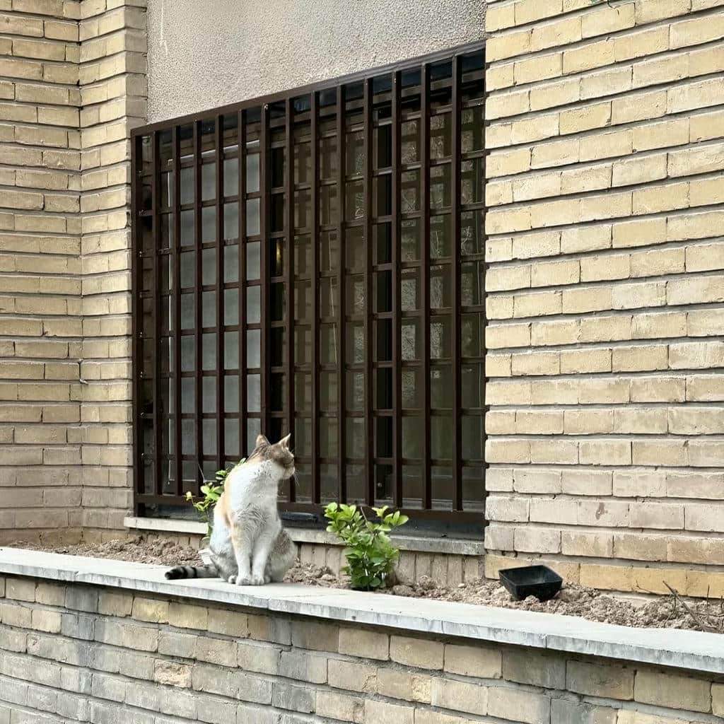 حفاظ پنجره براق برای نمایش جزئیات طرح