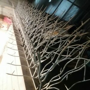 12 مدل حفاظ بوته ای دیوار پرتراکم